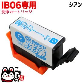 IB06CA専用 エプソン用 IB06 プリンター目詰まり洗浄カートリッジ シアン シアン用 PX-S5010