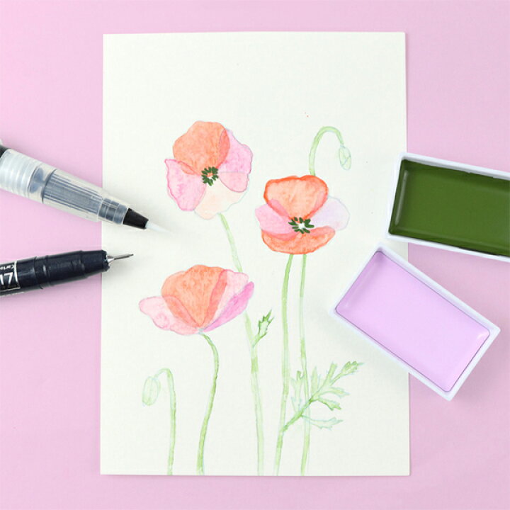 楽天市場 呉竹 Kuretake 水彩イラスト 花の描き方レッスン 重ね塗り Ew 1 こまもの本舗 楽天市場店 楽天市場 呉竹 Kuretake 水彩イラスト 花の描き方レッスン 重ね塗り Ew 1 こまもの本舗 楽天市場店
