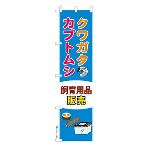 X ̂ڂ NK^JugVpi̔  îڂ [k 450mm