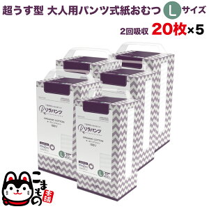 pc lpނ ^ Ic pc I[KjbNRbg 2z LTCY 20×5Zbgyzzʑ  jp p ĝ ЊQ 100