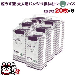pc lpނ ^ Ic pc I[KjbNRbg 2z L 20×6Zbg yzzʑ  jp p ĝ ЊQ 120