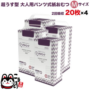 pc lpނ ^ Ic pc I[KjbNRbg 2z MTCY 20×4Zbgyzzʑ  jp p ĝ ЊQ 80