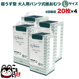 pc lpނ ^ Ic pc I[KjbNRbg 4z LTCY 20×4Zbgyzzʑ  jp p ĝ ЊQ 80