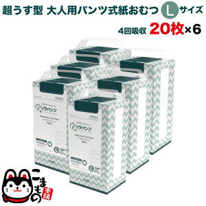 pc lpނ ^ Ic pc I[KjbNRbg 4z L 20×6Zbg yzzʑ  jp p ĝ ЊQ 120