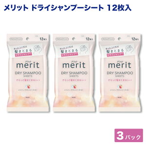 ԉ bg fC Vv[ V[g ݂݂T{s[`̍ hCVv[ 12×3 ЊQ V h