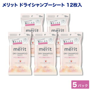 ԉ bg fC Vv[ V[g ݂݂T{s[`̍ hCVv[ 12×5 ЊQ V h