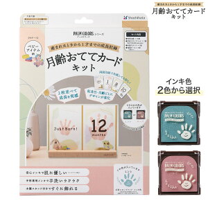 y񂹕izV`n^ Shachihata PALM COLORSip[J[Yj ĂăJ[hLbg xr[ACe HPSC-B/H S2FI