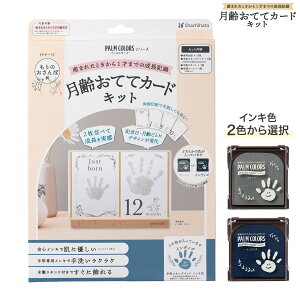 y񂹕izV`n^ Shachihata PALM COLORSip[J[Yj ĂăJ[hLbg ̂ە HPSC-M/H S2FI