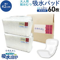 楽天市場】大人 紙パットの通販