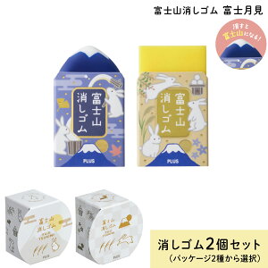 PLUS vX AIR-IN GAC xmRS xm 2 ER-100AIF-2P 36646 2킩I