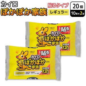 ACXI[} ۂۂƑ \ JC M[ 10×2Zbg(20) ĝăJC h΍ ʋ ʊw ₦ \^CvM[