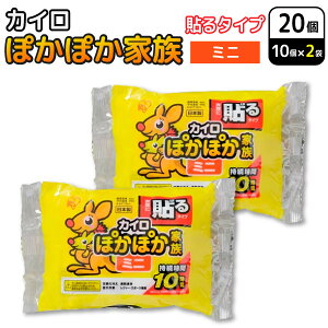 ACXI[} ۂۂƑ \ JC ~j 10×2Zbg(20) ĝăJC h΍ ʋ ʊw ₦ \^Cv~j