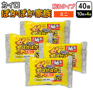 ACXI[} ۂۂƑ \ JC ~j 10×4Zbg(40) ĝăJC h΍ ʋ ʊw ₦ \^Cv~j