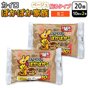 ACXI[} ۂۂƑ \ JC ~j x[W 10×2Zbg(20) ĝăJC h΍ ʋ ₦ \^Cv~j(x[W)