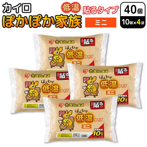 ACXI[} ۂۂƑ \ JC ق킩 ቷ^Cv ~j 10×4Zbg(40) ĝăJC h΍ \ቷ^Cv ~j