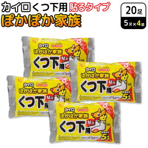 ACXI[} ۂۂƑ \ p JC 5×4Zbg(20) ĝăJC h΍ C ʊw ₦ \^Cv p