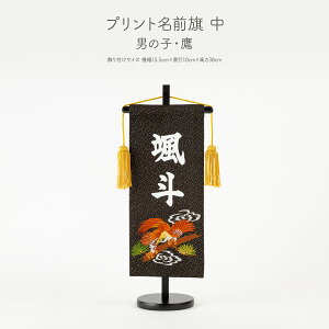 l` O Ղ ̎q ߋ j̎q RpNg vgO (30) Iׂ4 ߋ 