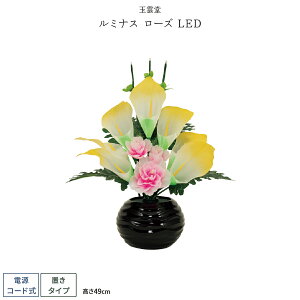 ~ V~ ~  ~iX [Y LED LED R[hX ~傤 ~