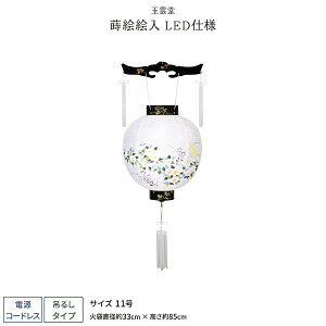 ~ V~ ~  LED R[hX a GG 11 ~傤 ~