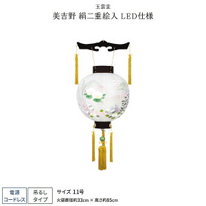 ~ V~ ~  LED R[hX a g dG 11 ~傤 ~