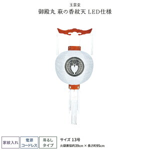 ~ V~ ~ LED R[hX Ɩ a ̍ V 13 ~傤 ~