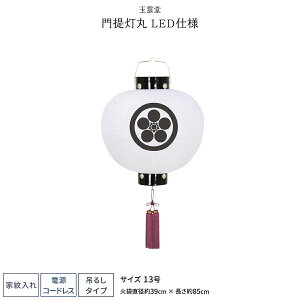 ~ V~ ~  LED R[hX Ɩ 񓔊 n 13 ~傤 ~
