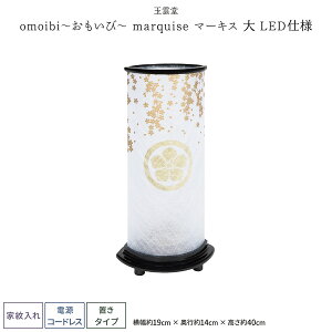 ~ _ ~jTCY V~ ~  LED R[hX Ɩ omoibi marquisei}[LXj ~傤 ~