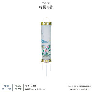 ~ V~ ~  Zg 8 ~傤 ~