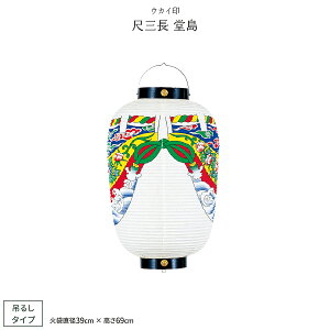 ՗ Ղ  ڎO  傤