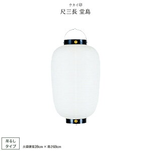 ՗ Ղ  ڎO  傤