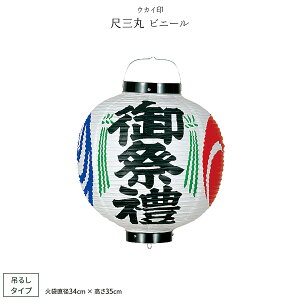 ~ V~ ~  ڎO rj[