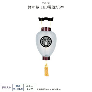 ~ V~ ~    LEDdrSW