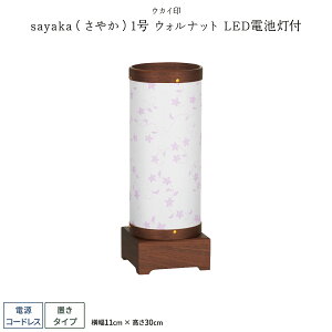 ~ V~ ~  sayaka₩1 EHibg R[hX LEDdrt