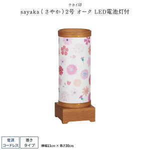 ~ V~ ~  sayaka₩2 I[N R[hX LEDdrt