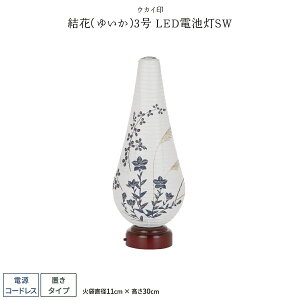~ V~ ~  Ԃ䂢3 LEDdrSW