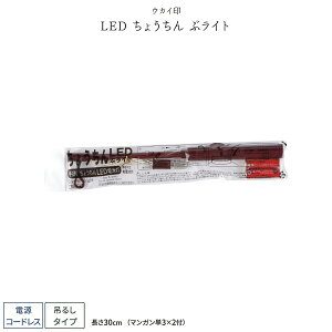 ~ V~ ~  Led 傤 ԃCg
