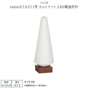 ~ _ ~jTCY V~ ~  LEDdrt R[hX tomoriiƂj1 EHibg ~傤 ~