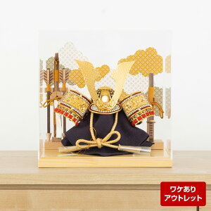 yAEgbgz܌l` RpNg P[X   YUKUMO ma10 5l` 