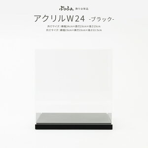 ܌l` RpNg  5l` Ղӂ Pi ̔ ANP[XW24 ubN ߋ j̎q  q̓