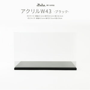 ܌l` RpNg  5l` Ղӂ Pi ̔ ANP[XW43 ubN ߋ j̎q  q̓