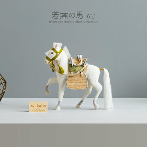 ܌l` n   RpNg [nb t̔n 6] j̎q ߋ q̓ [߂̐ߋ