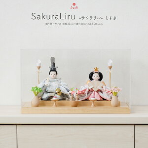 yXpZ撅ő5000~OFFN[|Pő12{z l` RpNg _  P[X CeA ЂȐl` ЂȂ 킢 l ǂ ŐV e ӂ邤 SakuraLiru T