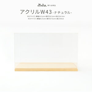 ܌l` RpNg P[X  l` Ղӂp IvV ANW43 -i`- ߋ j̎q  q̓