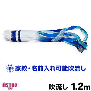 ̂ڂ Pi ̂ڂ uASTRO ߂񐯋 1.2mPi ύXv