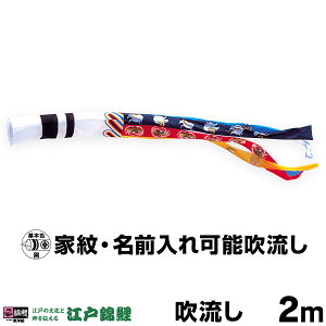 ̂ڂ Pi ̂ڂ uː 2mPi ύXv