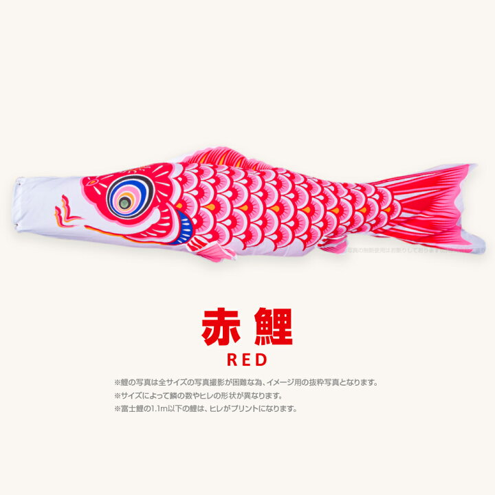 楽天市場】こいのぼり 単品 鯉のぼり 富士鯉 2m 単品鯉 : 節句＆ギフト 