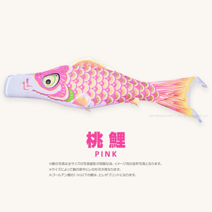 半額品 こいのぼり 単品 ゴールデン鯉 5m 単品鯉 Materialworldblog Com