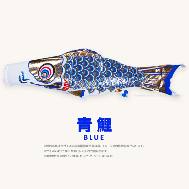 楽天市場】こいのぼり 単品 鯉のぼり 黄金鯉 5m 単品鯉 : 節句＆ギフト 