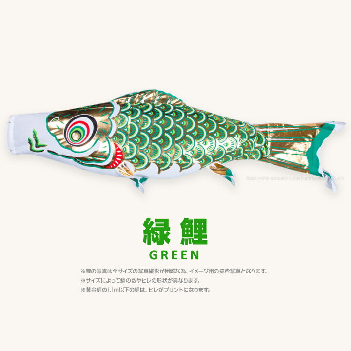 楽天市場】こいのぼり 単品 鯉のぼり 黄金鯉 5m 単品鯉 : 節句＆ギフト 