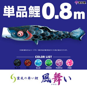 ̂ڂ Pi ̂ڂ  0.8m Pi